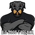 Big Dogg Tech Cloud Storage